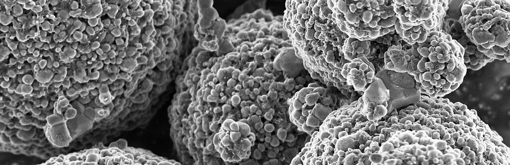 Aufnahme REM (Rasterelektronenmikroskop) Lithium-Mangan-Eisenphosphat IBUvolt® LMFP